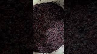 Grape Four days into fermentation🍇🍷 [upl. by Eustashe]