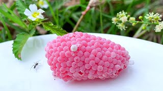 ASMR Crushing Raspberry Invasive snail eggs and Ants eating with relaxing  Apple SNAIL EGG [upl. by Licastro]