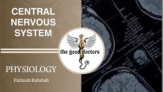 Lecture 1Overview of synaptic transmissionPhysiologyCNS [upl. by Kalagher]