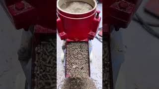 Electric poultry chicken feeds grass pellet making machine diesel cattle pelletizer machine [upl. by Anegal764]