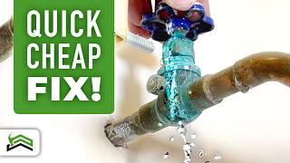 How To Fix A Main Water Shutoff Valve Leak [upl. by Irrot]