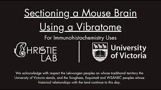 How to section with a Leica VT1200 Vibratome [upl. by Aerdnwahs]