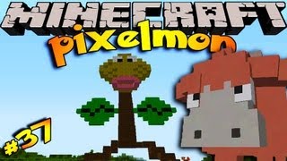 Pixelmon Minecraft Pokemon Mod Episode  37 BELLSPROUT TOWER [upl. by Kirkwood]