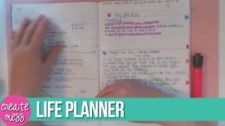 How I Use my Life Planner  Catch All Brain Dump Journal  An Organised Mess [upl. by Malory]