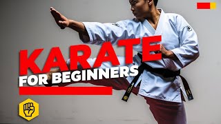 Karate for Beginners Everything You Need to Know [upl. by Pollack]