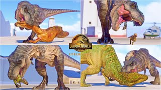 TYRANNOSAURUS REX BIG EATIE HUNTING ANIMATIONS VS ALL DINOSAURS IN JURASSIC WORLD EVOLUTION 2 [upl. by Sidney]