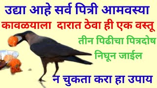 🙏सर्वपित्री आमवस्याला करा हा उपाय 👍तिन पिढीचा पित्रदोष निघून जाईलसर्वपित्रीअमावस्या 🙏 [upl. by Laverne]