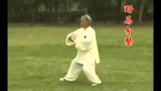 传统杨式太极拳八十五式 Yang Style Taiji Quan 85 [upl. by Nama]