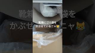 冷蔵庫の霜取り ☃️ 冷蔵庫 霜取り refrigerator [upl. by Ecinahc]