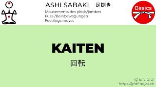 Aïkido ashi sabaki  kaiten [upl. by Crandell703]