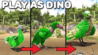 DODO TERROR BRID ARGENTAVIS PROGRESSION LINE  PLAY AS DINO  ARK SURVIVAL EVOLVED [upl. by Adlay]