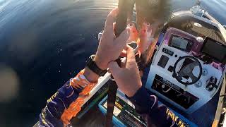 Chasing Mackrell and large mouth nannygai off Townsville reefs [upl. by Iddet]