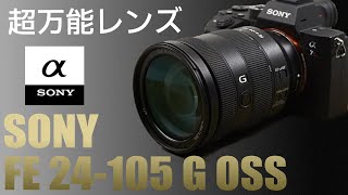 【超便利なズームレンズ】Sony FE 24105mm F4 G OSS SEL24105Gをレビュー 早いうちに手に入れてほしい理由 [upl. by Tima]