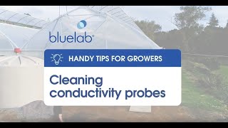 Bluelab Cleaning conductivity probes [upl. by Karil]