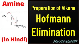 Amine 12 I Hofmann Elimination I Amine I quaternary ammonium salt I Exhaustive methylation I [upl. by Wise636]