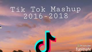 Tik Tok Mashup20162018 [upl. by Cloris]