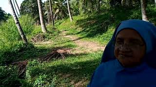 Srilanka Rosarian 200 Nuns were feed during Covid [upl. by Nylssej]