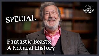 Fantastic Beasts A Natural History With Stephen Fry  Wizarding World [upl. by Niels]