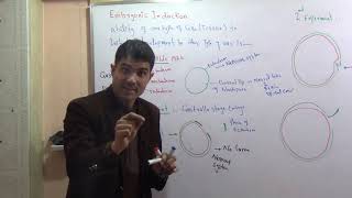 L7 Embryonic induction with spemann experiments in Urdu language by Dr Hadi [upl. by Troyes431]