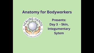 Day 3 of Online Anatomy for Bodyworkers [upl. by Nanis]