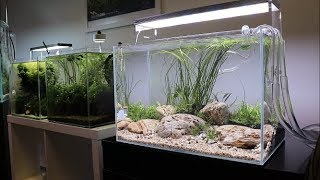 River Bottom Aquascape Tutorial  Easy Aquascape added to the Aquarium Gardens Showroom [upl. by Desdamona237]