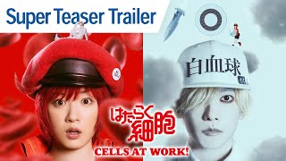 CELLS AT WORK  Super Teaser Trailer [upl. by Fancie]