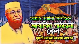 আল্লাহ তায়ালা ফিলিস্তিনে আবাবিল পাঠায়না কেন। Nazrul Islam Qasmi Islamic Voice boyan banglawaz [upl. by Michaud]