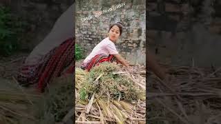 Niva Yadav Tiktok 🌟 [upl. by Biddie]