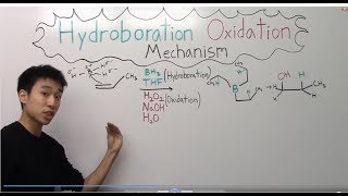 Hydroboration Oxidation Mechanism Made Easy  Part 1   Organic Chemistry [upl. by Hpotsirhc]