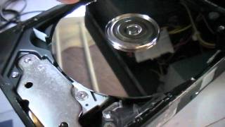 Maxtor 2F020J0 Hard Disk Drive Exposed [upl. by Nytnerb]