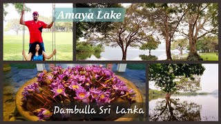 Amaya Lake Dambulla Discovering Sri Lanka’s Lakeside Paradise [upl. by Haimorej]