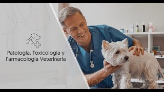 Patología Toxicología y Farmacología Veterinaria [upl. by Lyckman]