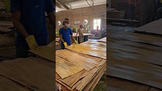 Plywood Manufacturing Company plywood manufacturing process [upl. by Essiralc]