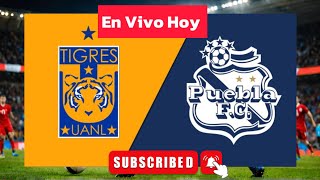 Tigres UANL vs Puebla EN VIVO 2024 Partido de Fútbol  Liga MX [upl. by Braasch841]