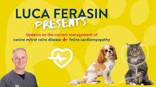 Updates on the Correct Management of Canine Mitral Valve Disease and Feline Cardiomyopathy [upl. by Ballard]