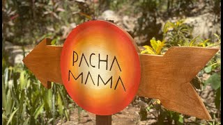 Welcome to PachaMama [upl. by Ahsita861]