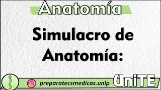 Simulacro Anatomía  Miembro Inferior [upl. by Yborian]