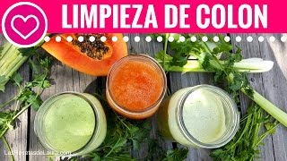 3 Jugos para Limpiar el Colon y Desintoxicar  Natural Colon Cleansing ❤ Las Recetas de Laura [upl. by Roldan]