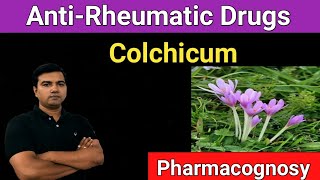 AntiRheumatic Drugs Colchicum pharmacognosy [upl. by Eivod555]