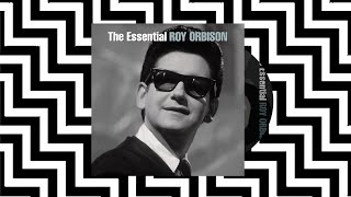 i drove all night  roy orbison slowed  reverb [upl. by Pendergast]