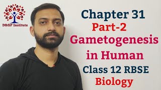 Class 12 Chapter 31 Gametogenesis in Human Oogenesis Follicular Development RBSE Part2 [upl. by Aleahcim]