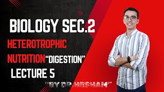 lecture 5 heterotrophic nutrition  digestion and absorption of digested food  biology sec 2 [upl. by Corbie]