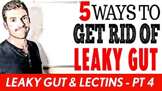 5 Ways To Heal Leaky Gut  Leaky Gut amp Lectins  Pt 4 [upl. by Rehpatsirhc]