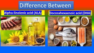 Alphalinolenic acid ALA Vs Docosahexaenoic acid DHA [upl. by Alenas]