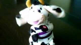 Cute Wiggly Singing Cow [upl. by Ayaros]