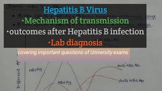 Hepatitis B Virus  Hepatitis B Virus Lab diagnosis with Notes  Outcomes After Hep B InfectionMBBS [upl. by Groeg]