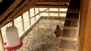 Chicken coop tractor updates [upl. by Tinaret]