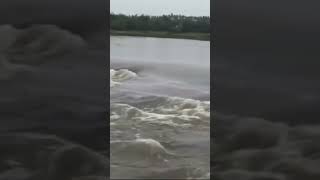 kolleru eluru kaikaluru cyclone floods [upl. by Nimaj888]