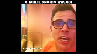 Steveo And Charlie Vs Wasabi [upl. by Quintilla]