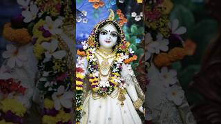 Radhe radhe radhe Krishna [upl. by Sadye180]